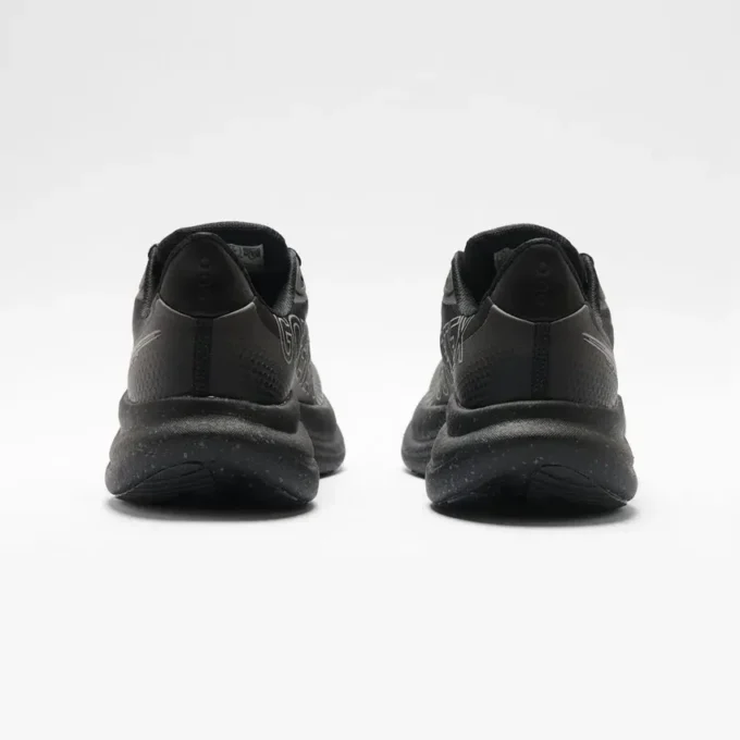 Men’s triumph 23 gtx